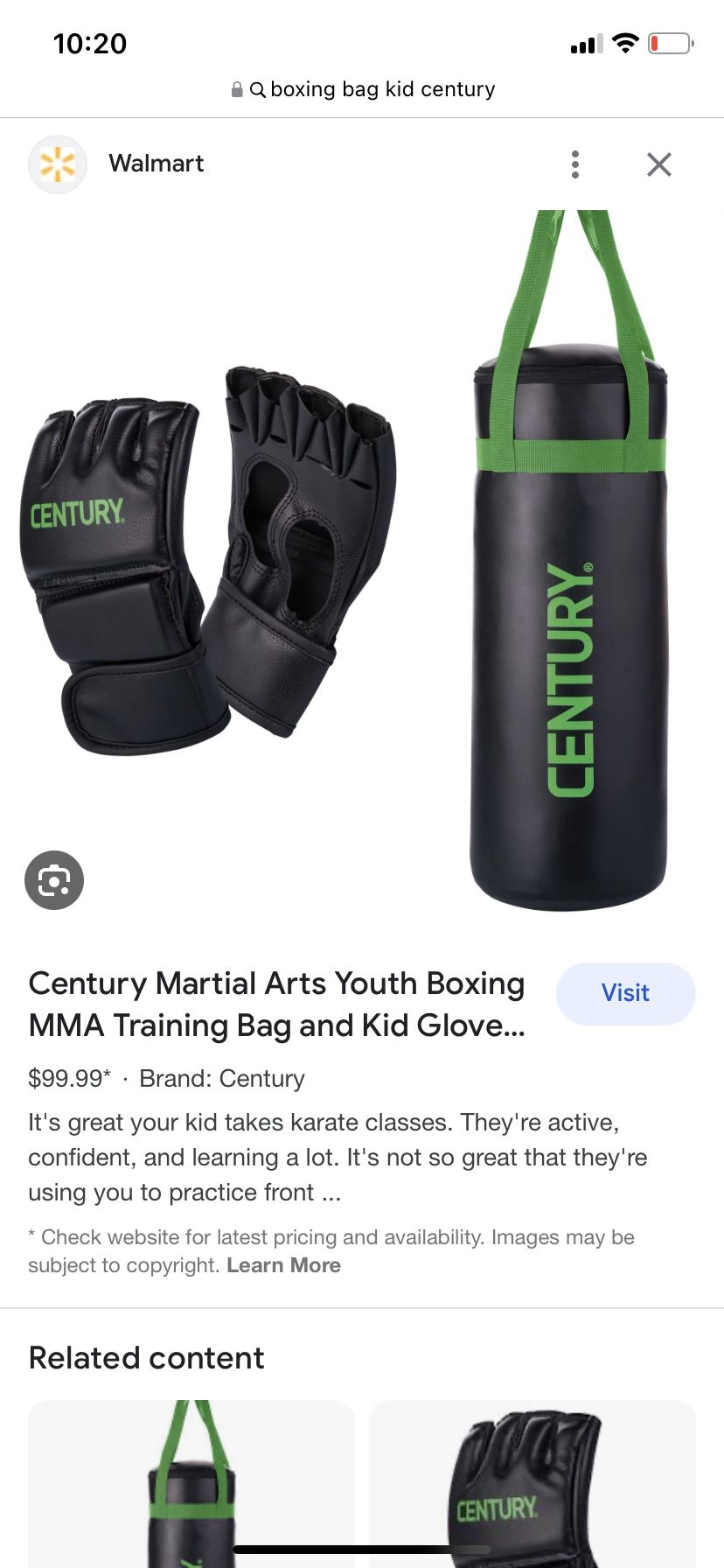 Kid Boxing Training Bag