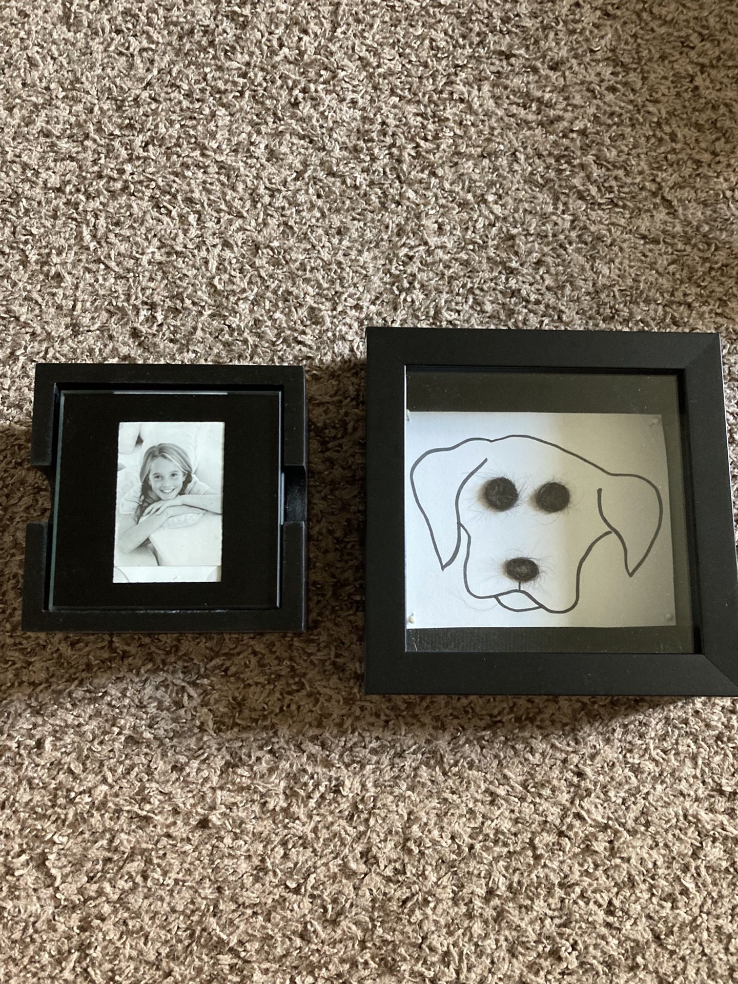 Glass Photo Coasters And A Dog Print Photo