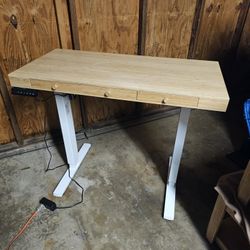 Electric Standing Desk $75 OBO