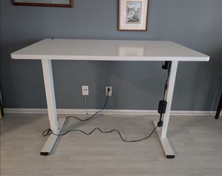 FlexiSpot Standing Desk