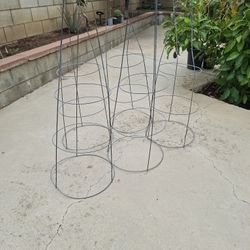 Plants Cages