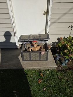 Halloween chest skeleton pirate