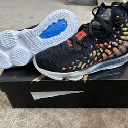 Nike Lebron 17 “James Gang” New DS 10.5