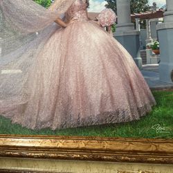 Quincena Dress/ Pink Rose Gold Size 6 $200