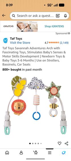 Taf Toys for car seat/stroller