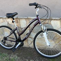 Women’s Schwinn Clear Creek Hybrid Bike