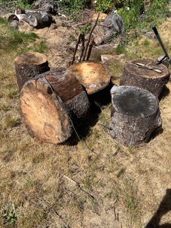 Free fire wood