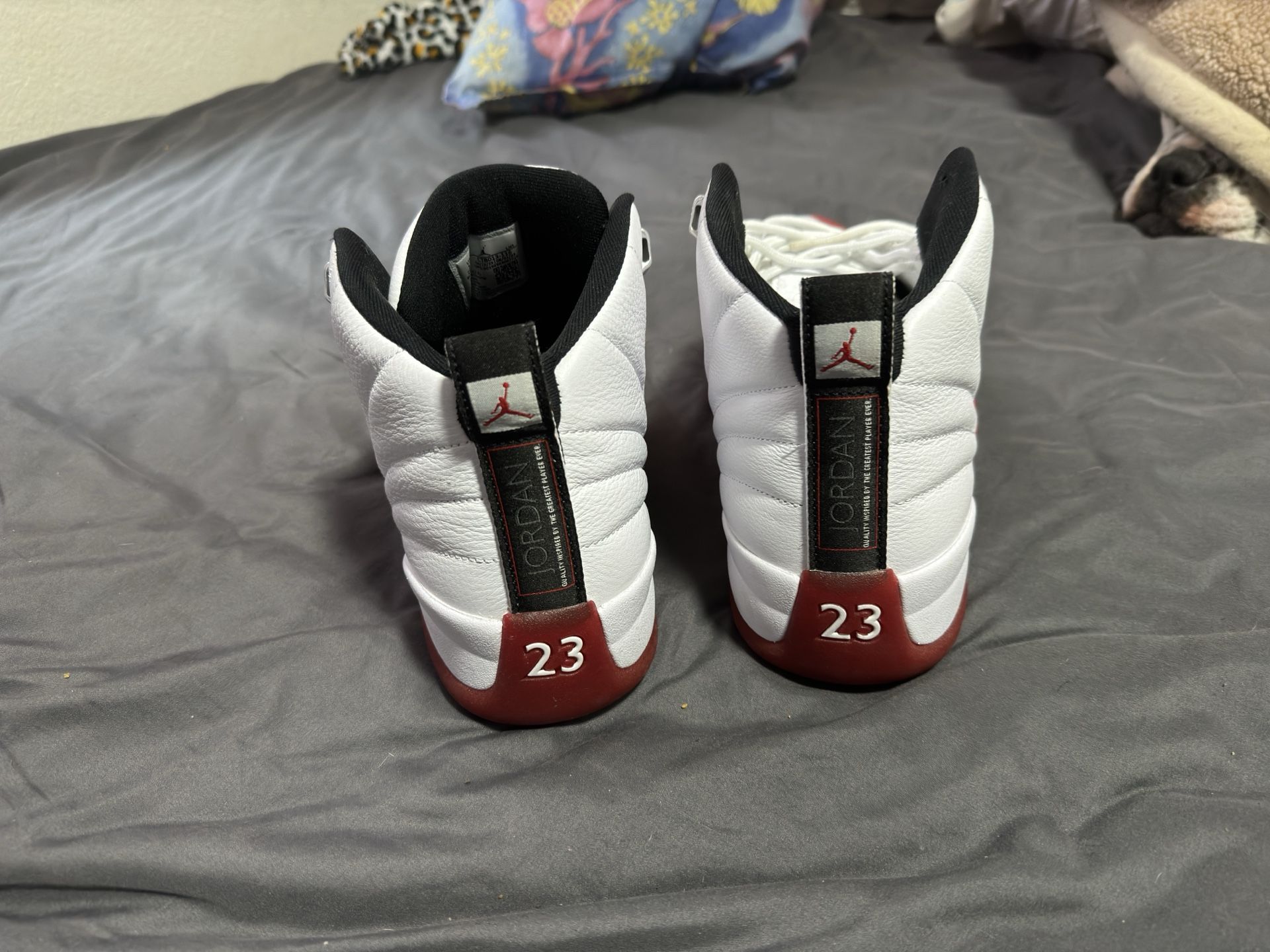 Jordan 12 Cherry 2023