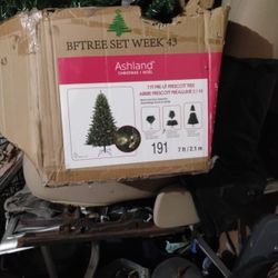 Ashland Xmas Tree