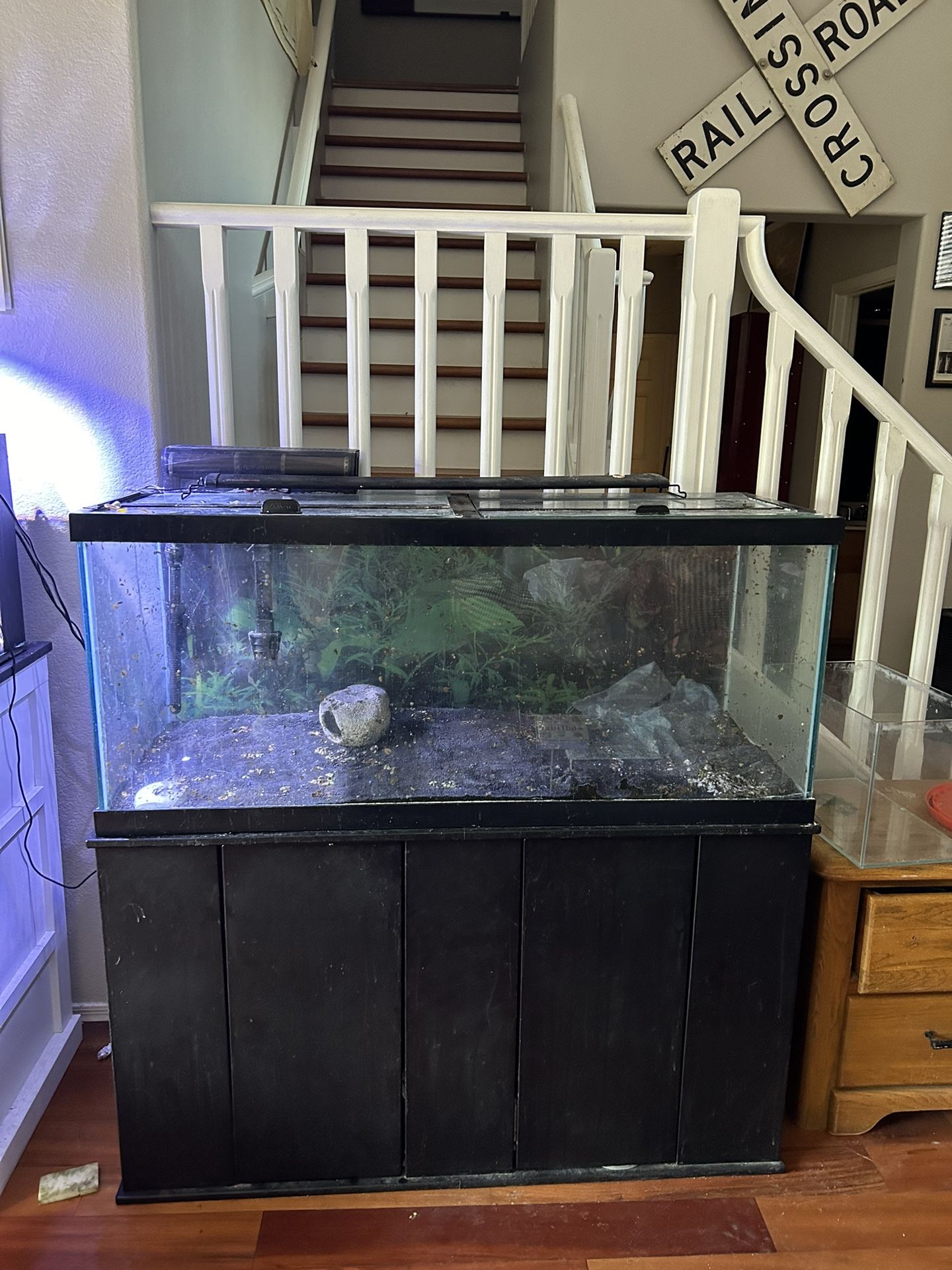 75 gallon tank with built in storage 