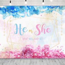 Gender Reveal Backdrop 