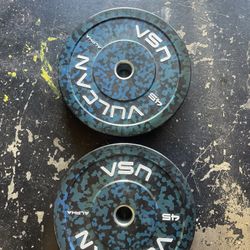 Vulcan 45lb Weight Plates (speck color)