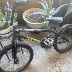 Bycicle Trail Bandit Free Spirit