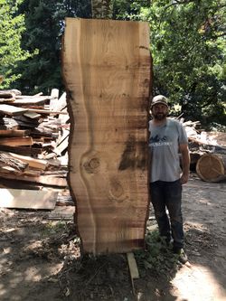 Big deodar cedar live edge wood slab