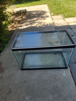 20 x 10½ x 13" tall, decent aquarium/terrarium with lid
