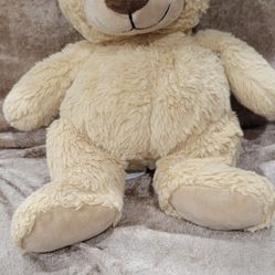 Plush Stuffed Bear Color BEIGE  9 " Inc from you flowers