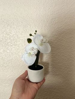 White Artificial Orchids