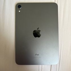 iPad Mini 256 Gigs 2022