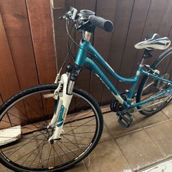 Trek Neko Mountain Bicycle 