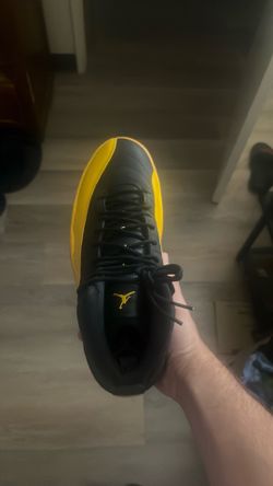 University gold Air Jordan 12s Size 10.5