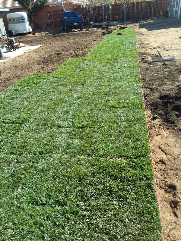 Sacate, grass, sod. for Sale in Hesperia, CA - OfferUp