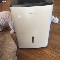 50 pt 200 Sq. Ft Dehumidifier 