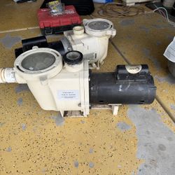 Swimming Pool And Spa Pumps 