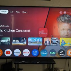 65 Inch Tv