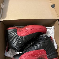 Jordan12s