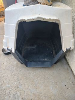 Free dog house!!!