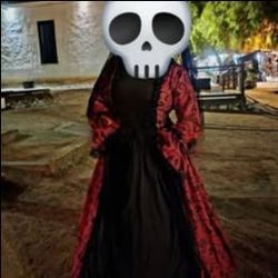 Catrina Dia DeLos Muertos Dress