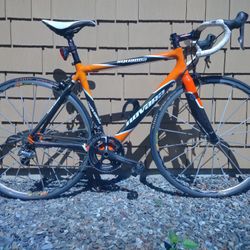 Squadra Novara Carbon Fiber Road Bike