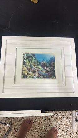 Marine collection