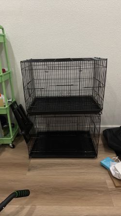 Bird cage