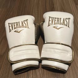 Everlast boxing gloves
