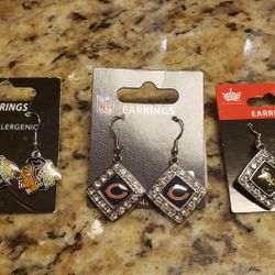 HYPO -ALLERGENIC  Earrings 