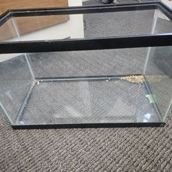 20 Gallon Aquarium