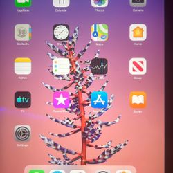 IPad Air For Sale 16GB