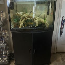Aquarium 