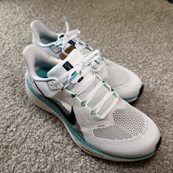 Nike Pegasus 41