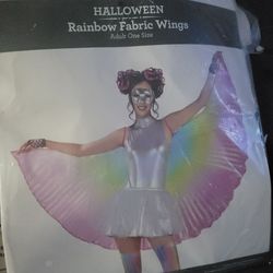 Rainbow 🌈 fabric wings