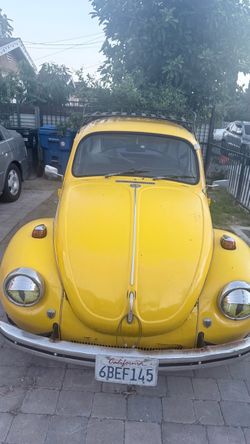 1971 Volkswagen 181