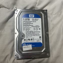 Hard Drives 