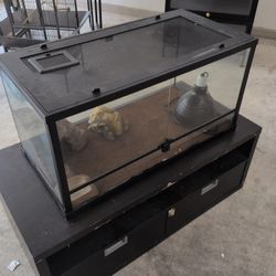 Terrarium Tank & Habitats (Table Not Included)