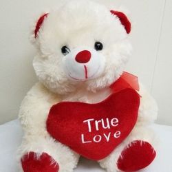 Heart Themed Teddy Bear 
