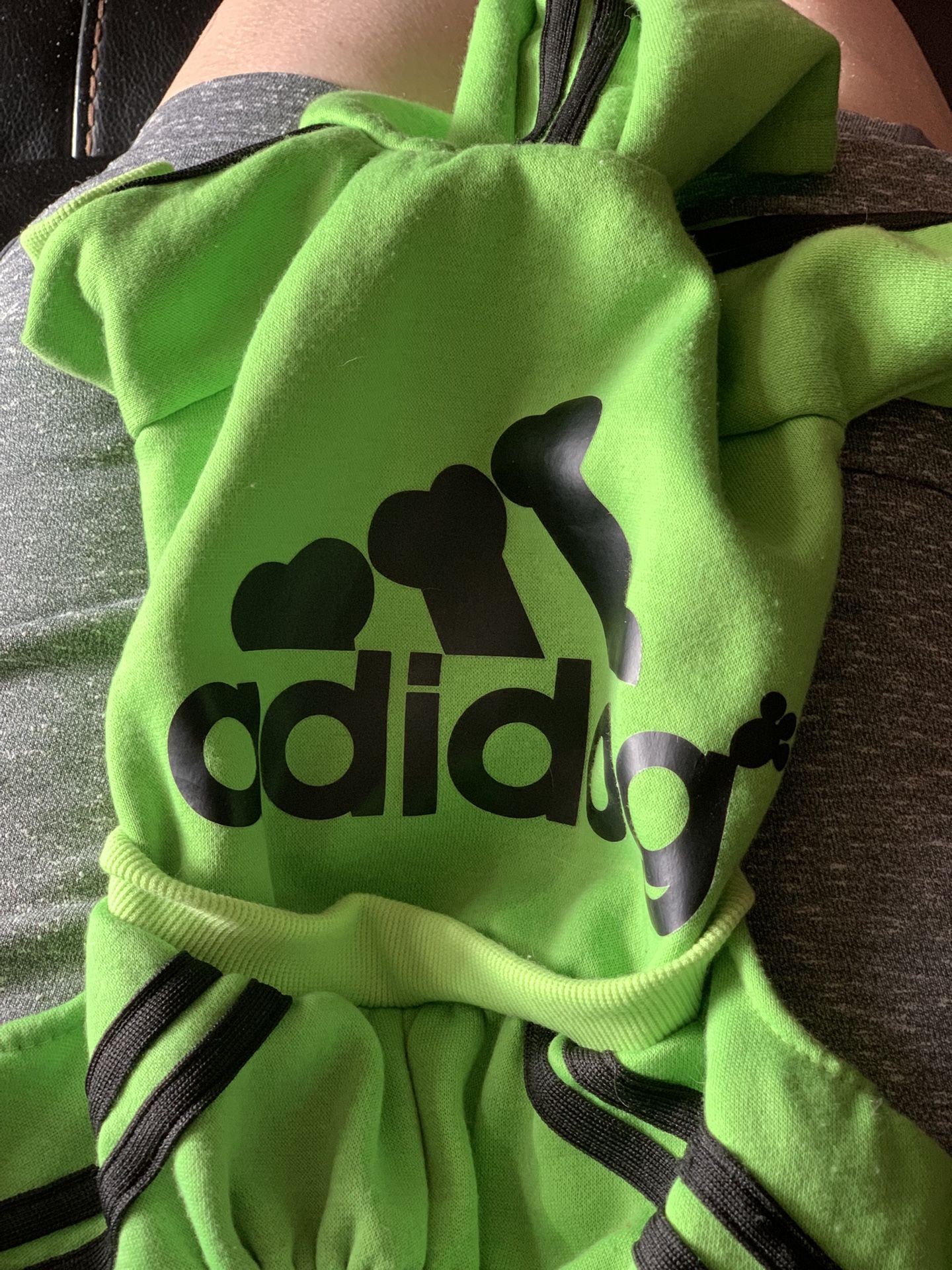 Dog Outfit For Small/med Dogs