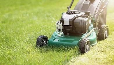 Lawn Work (grass)