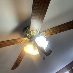 Ceiling Fan