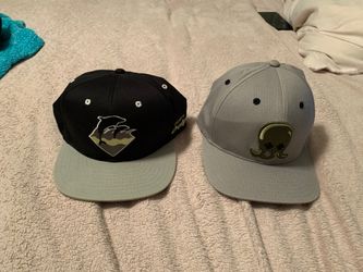 Pink Dolphin Hats