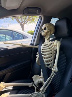 5ft pose n stay skeleton